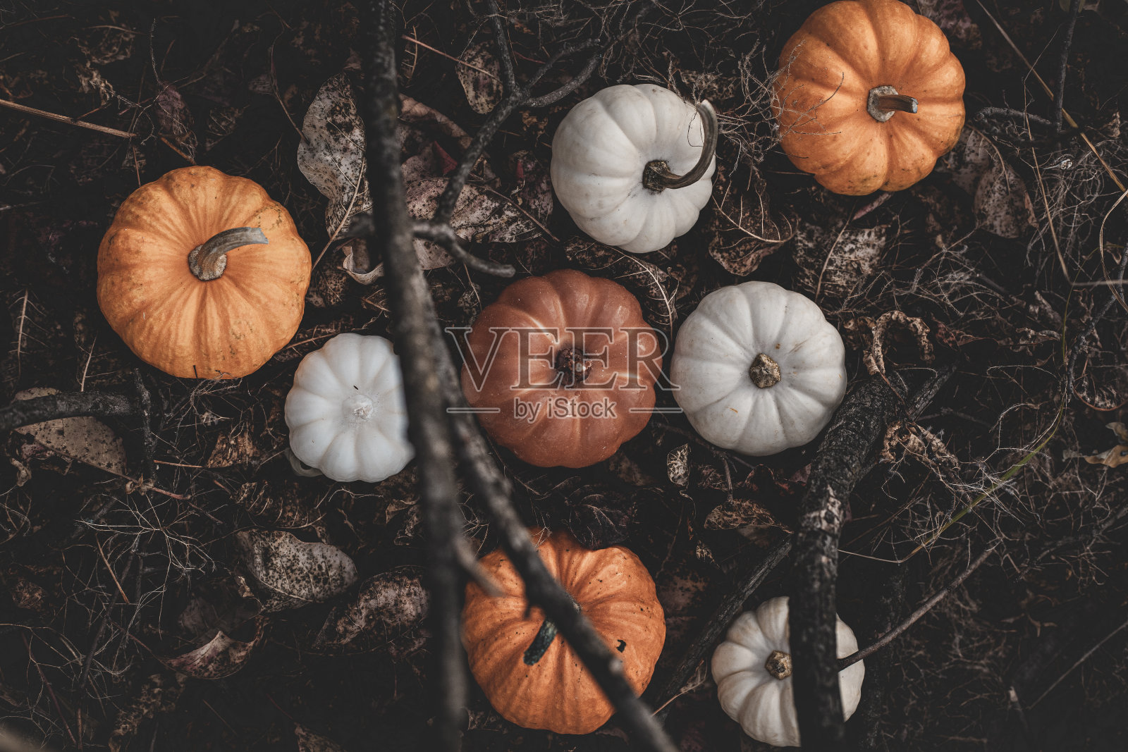 南瓜形状的蜡烛，背景是森林里的树叶和苔藓照片摄影图片