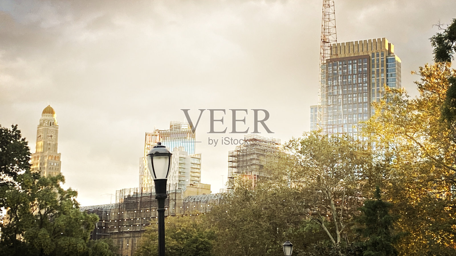 布鲁克林公园的天际线照片摄影图片