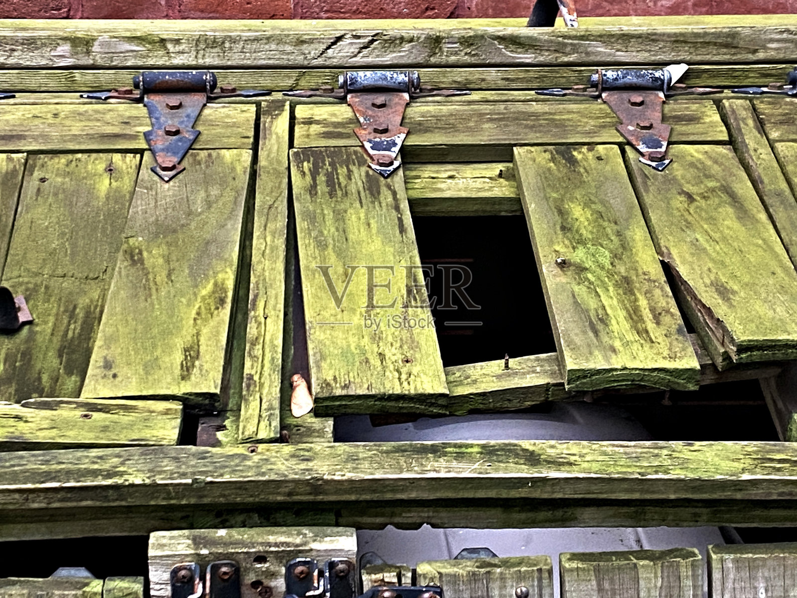 带铰链的藻色木板照片摄影图片