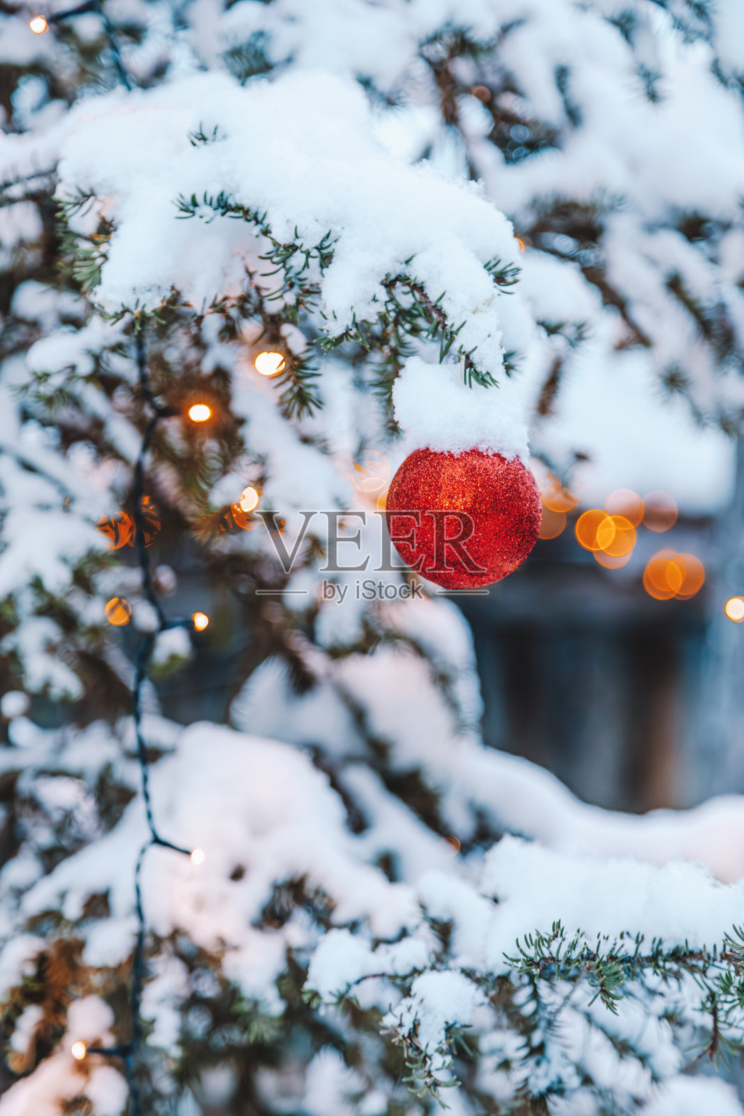 白雪街道上的节日圣诞树:五彩缤纷的节日景象照片摄影图片