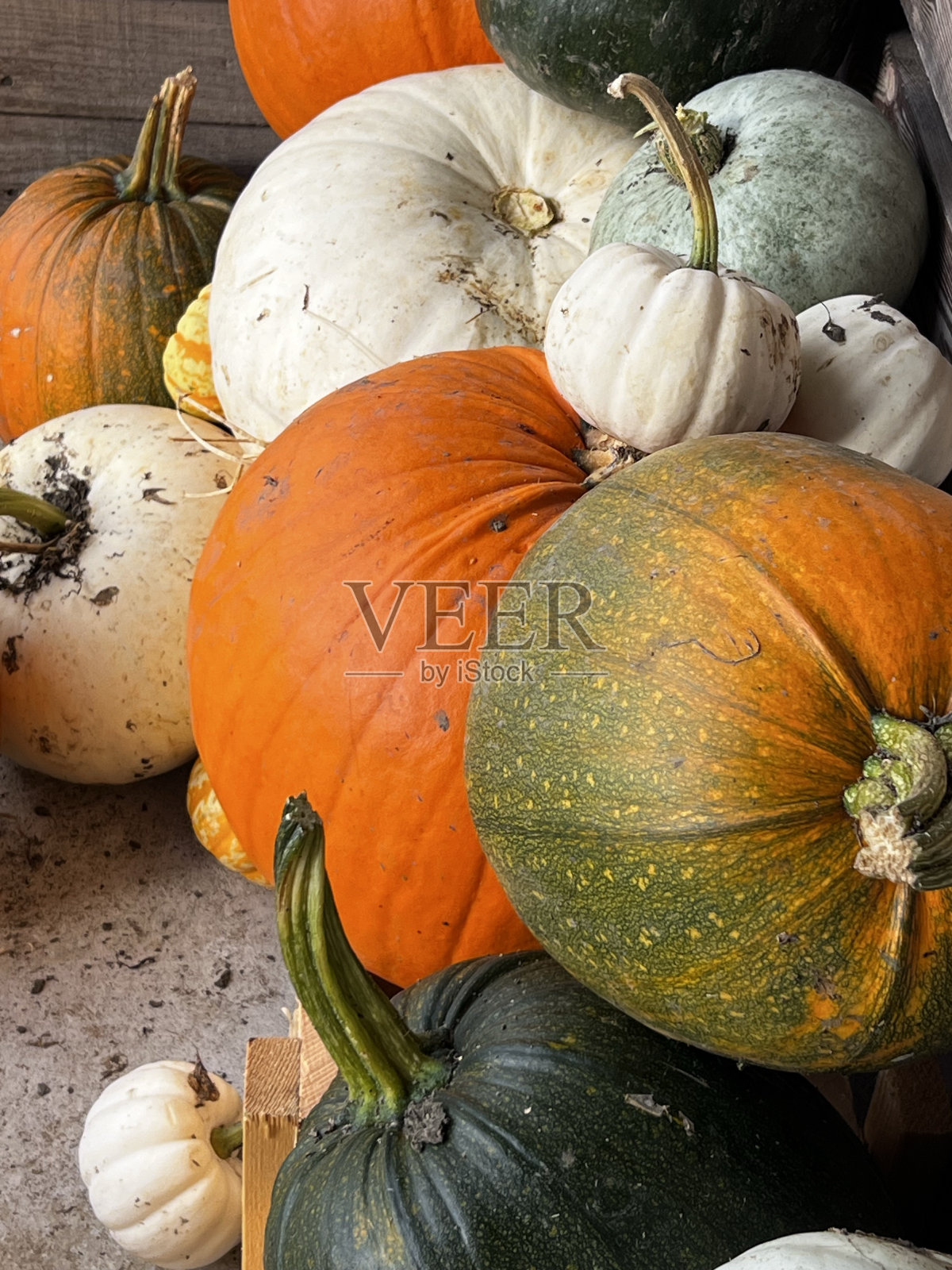 很多南瓜照片摄影图片