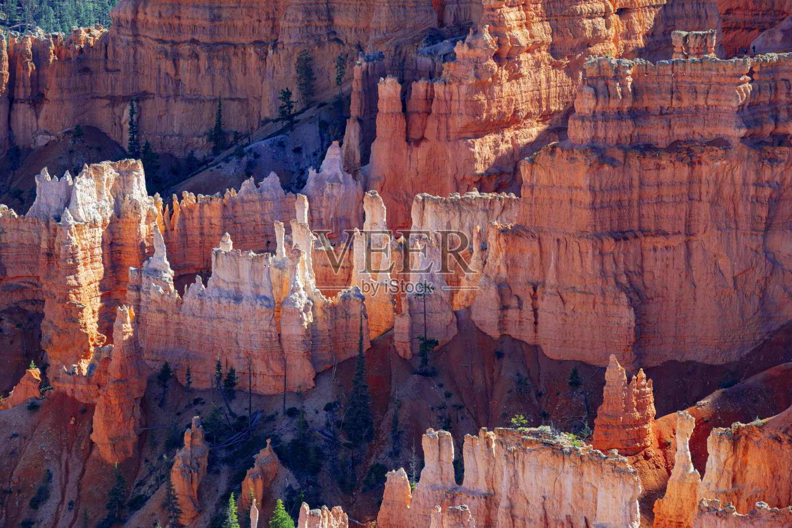 布莱斯峡谷国家公园照片摄影图片