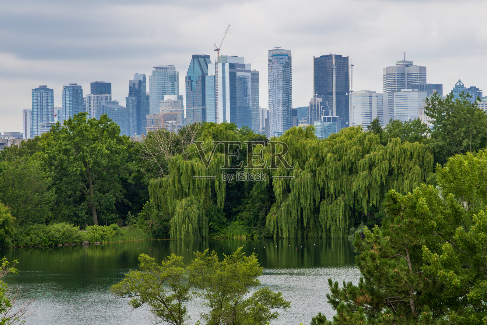 从岛上看到的蒙特利尔天际线Île蒙特利尔圣母院照片摄影图片