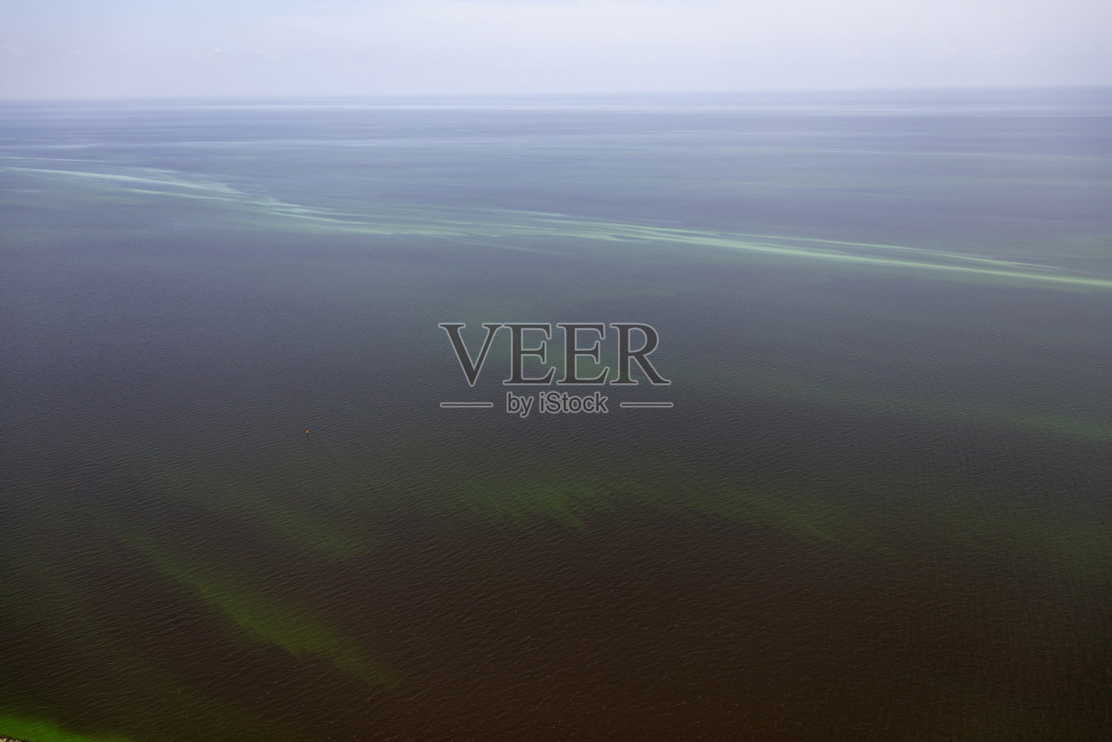 藻类湖奥基乔比佛罗里达州照片摄影图片