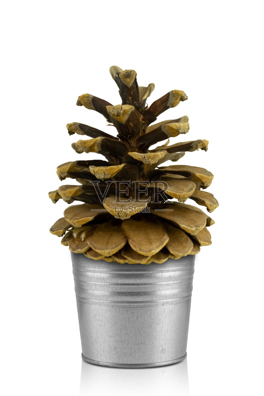 圣诞装饰孤立在白色背景与空间复制。照片摄影图片