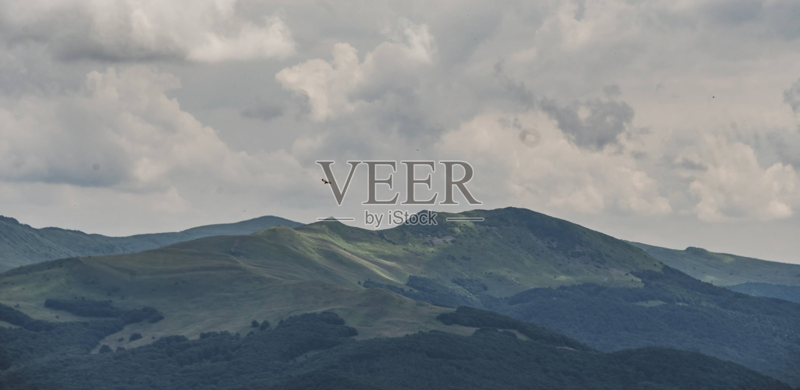 高耸的威严- Tarnica从Mała Rawka与翱翔的猛禽照片摄影图片