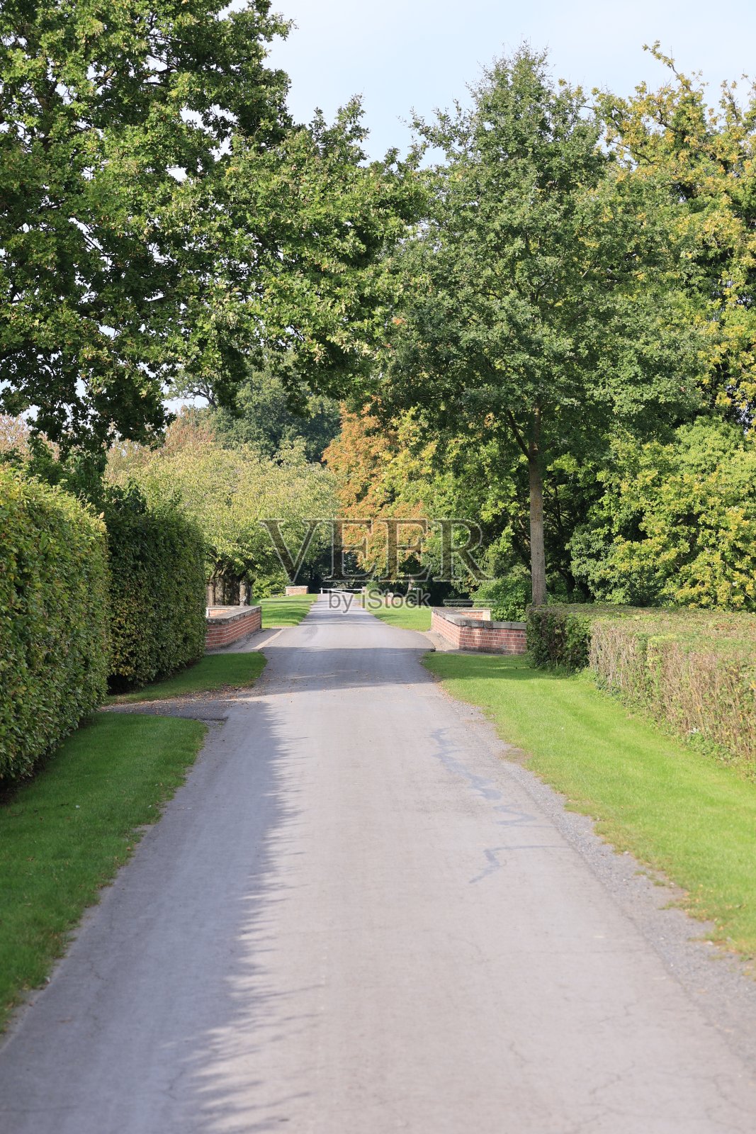 美丽的夏末，在荷兰北部的阿舍贝格照片摄影图片