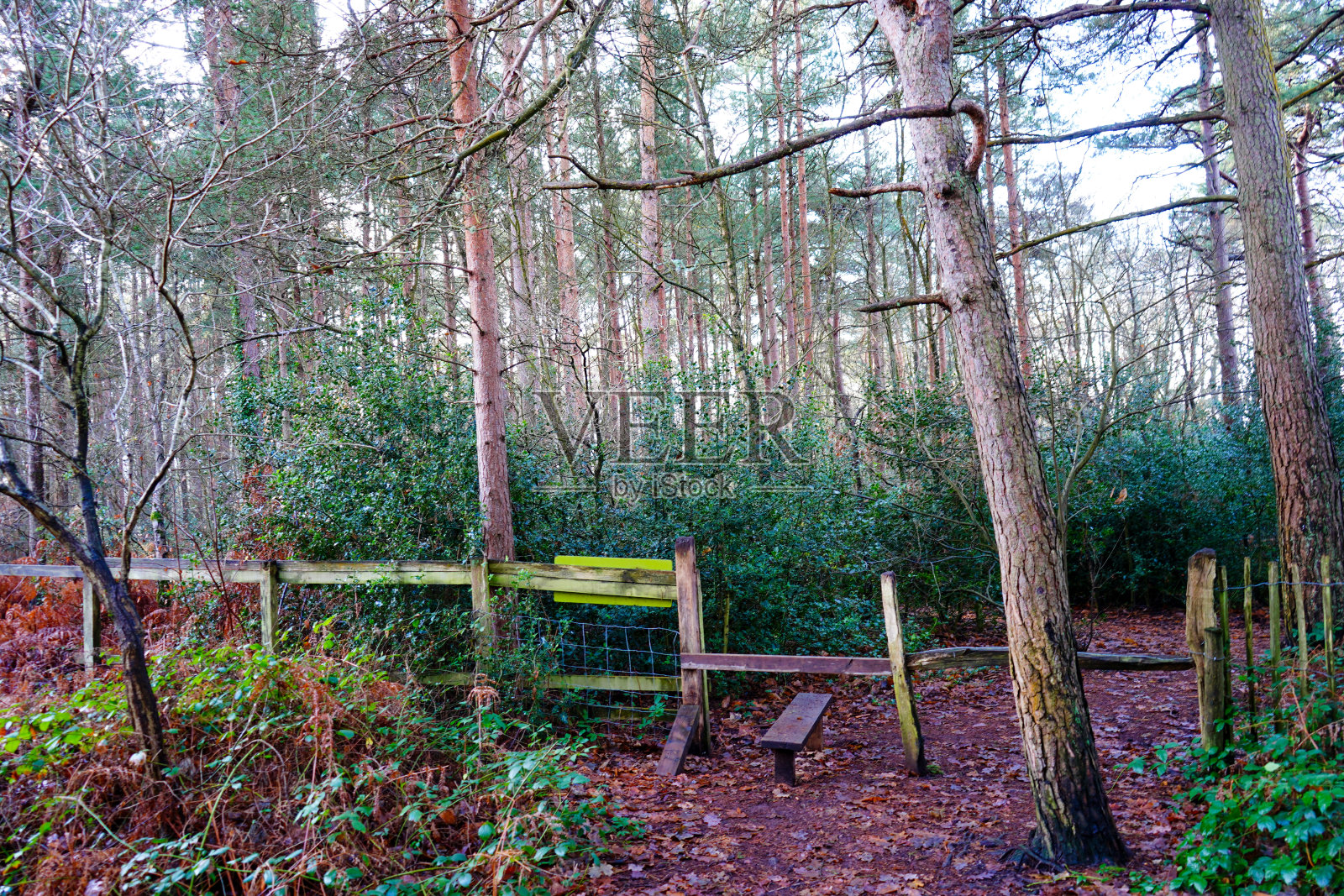 乡村木栅的近景照片摄影图片