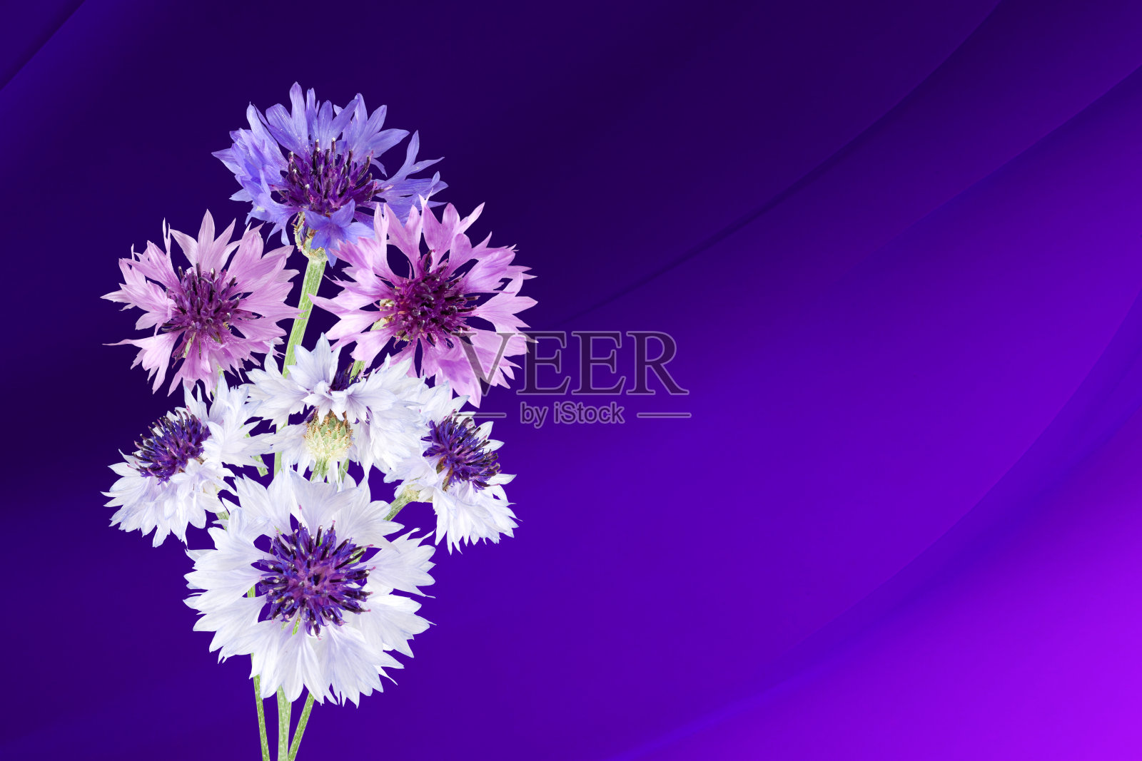 花束五彩缤纷照片摄影图片