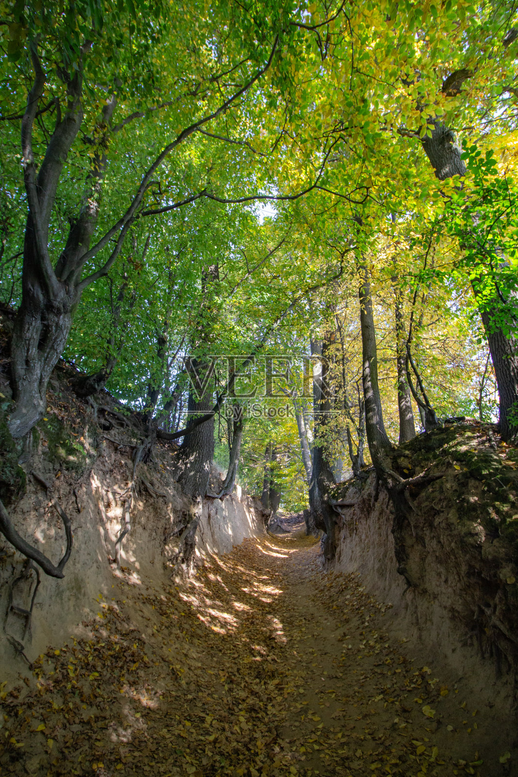 科尔泽尼奥维·多尔峡谷-卡齐米日·多尔尼照片摄影图片