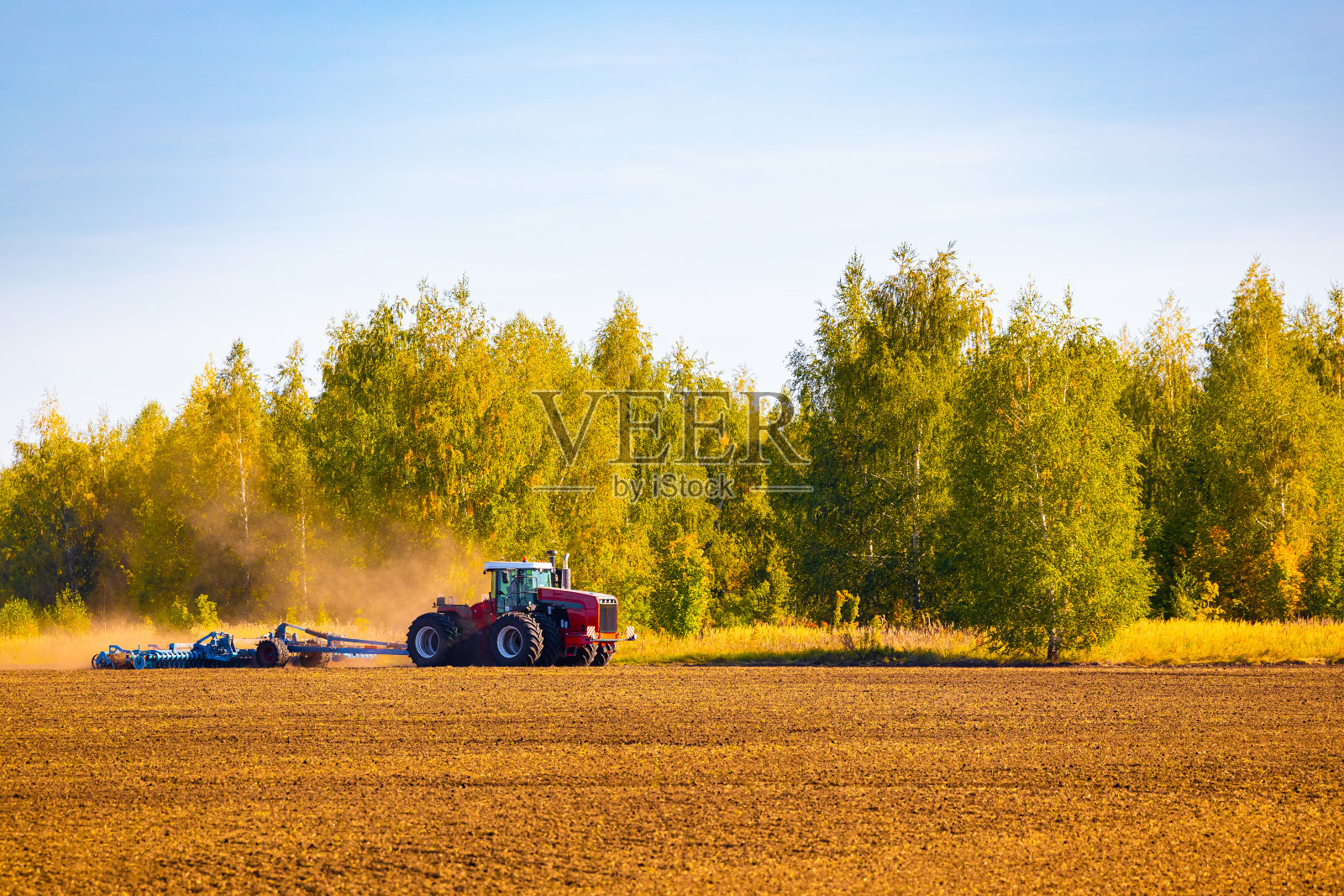 梁赞，俄罗斯- 2023年9月17日:田地里的红色拖拉机照片摄影图片