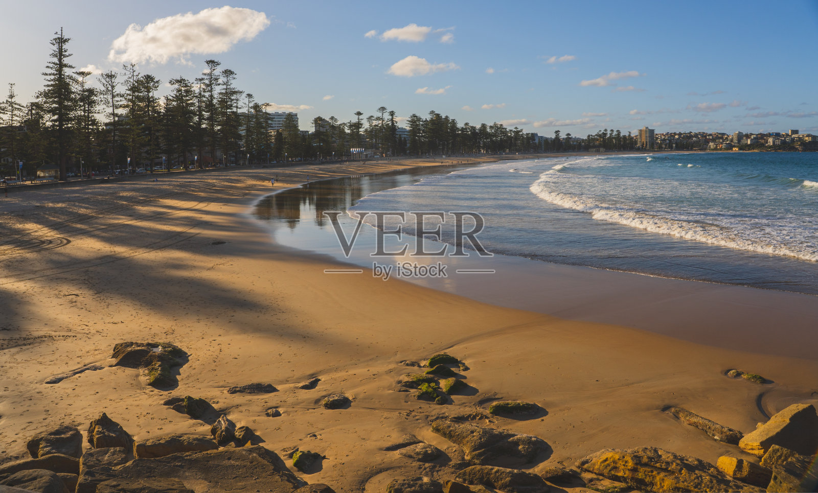 澳大利亚悉尼的曼利海滩。松树林立，海滩全景，与人冲浪照片摄影图片