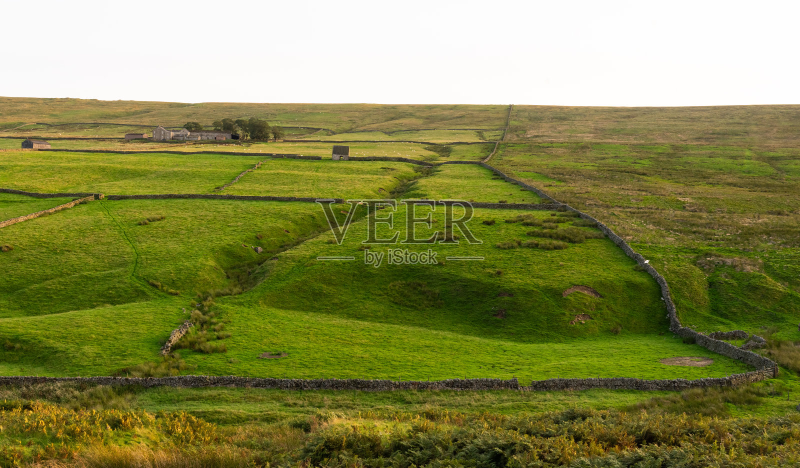 在英国达勒姆斯坦霍普附近的北奔宁山脉杰出自然美区(ANOB)，眺望围墙牧场照片摄影图片