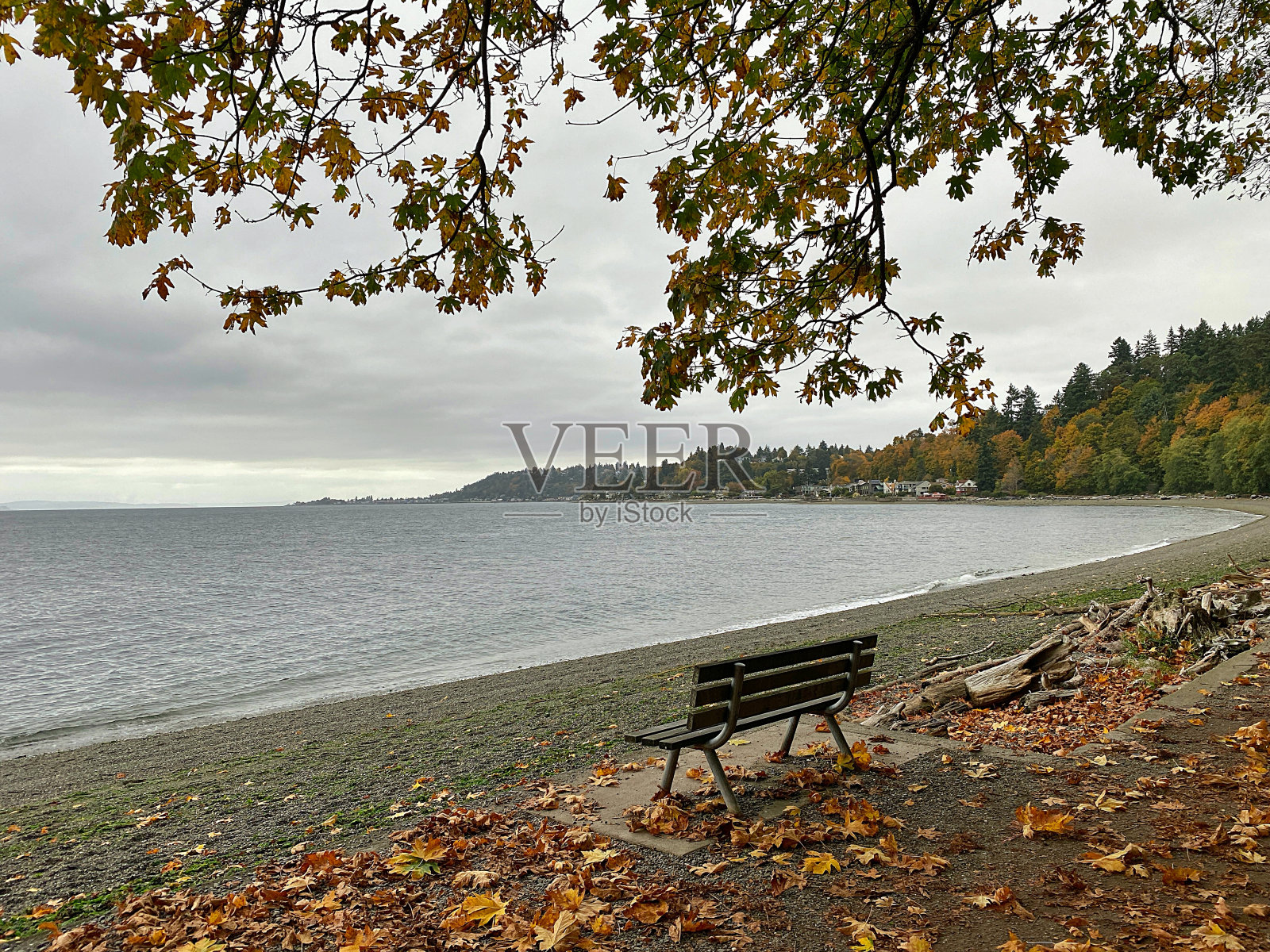 多叶的路径照片摄影图片