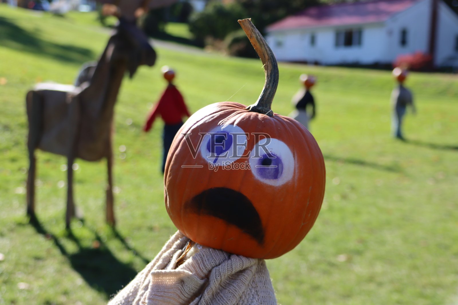 南瓜人照片摄影图片