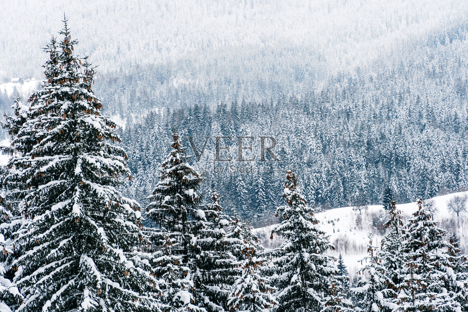 兹拉塔尔雪山上的风景照片摄影图片