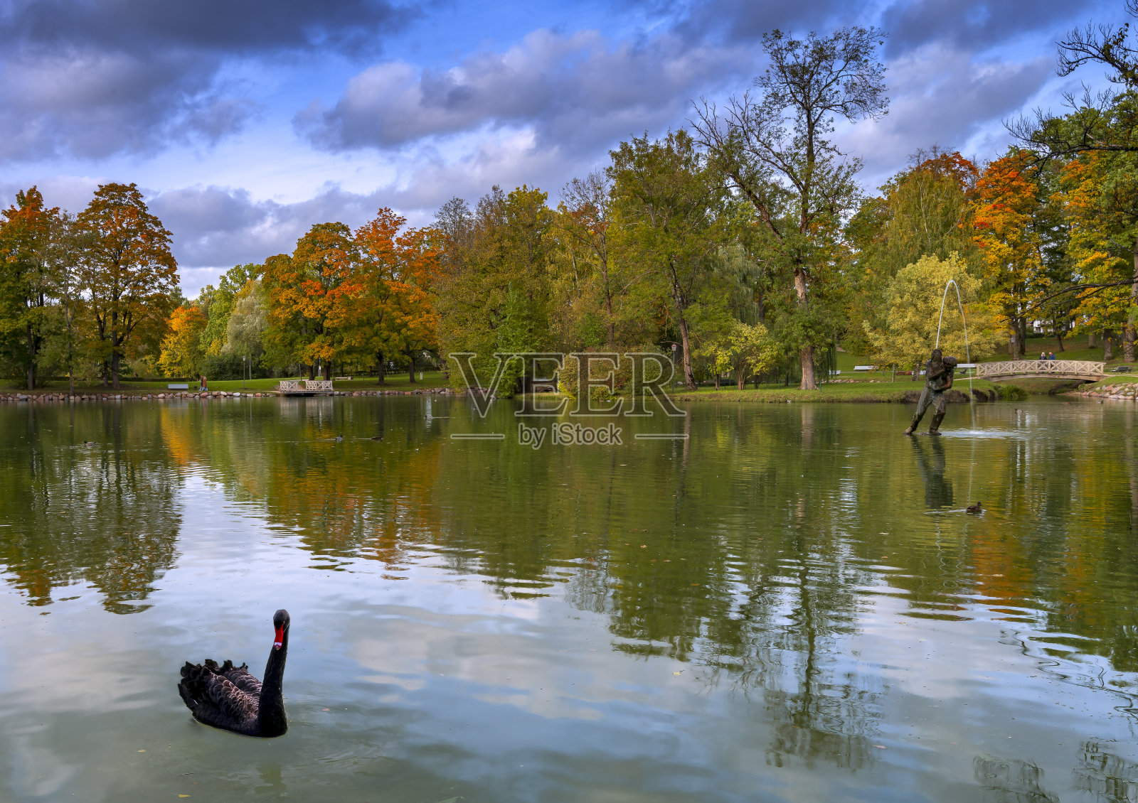 老公园的秋天照片摄影图片