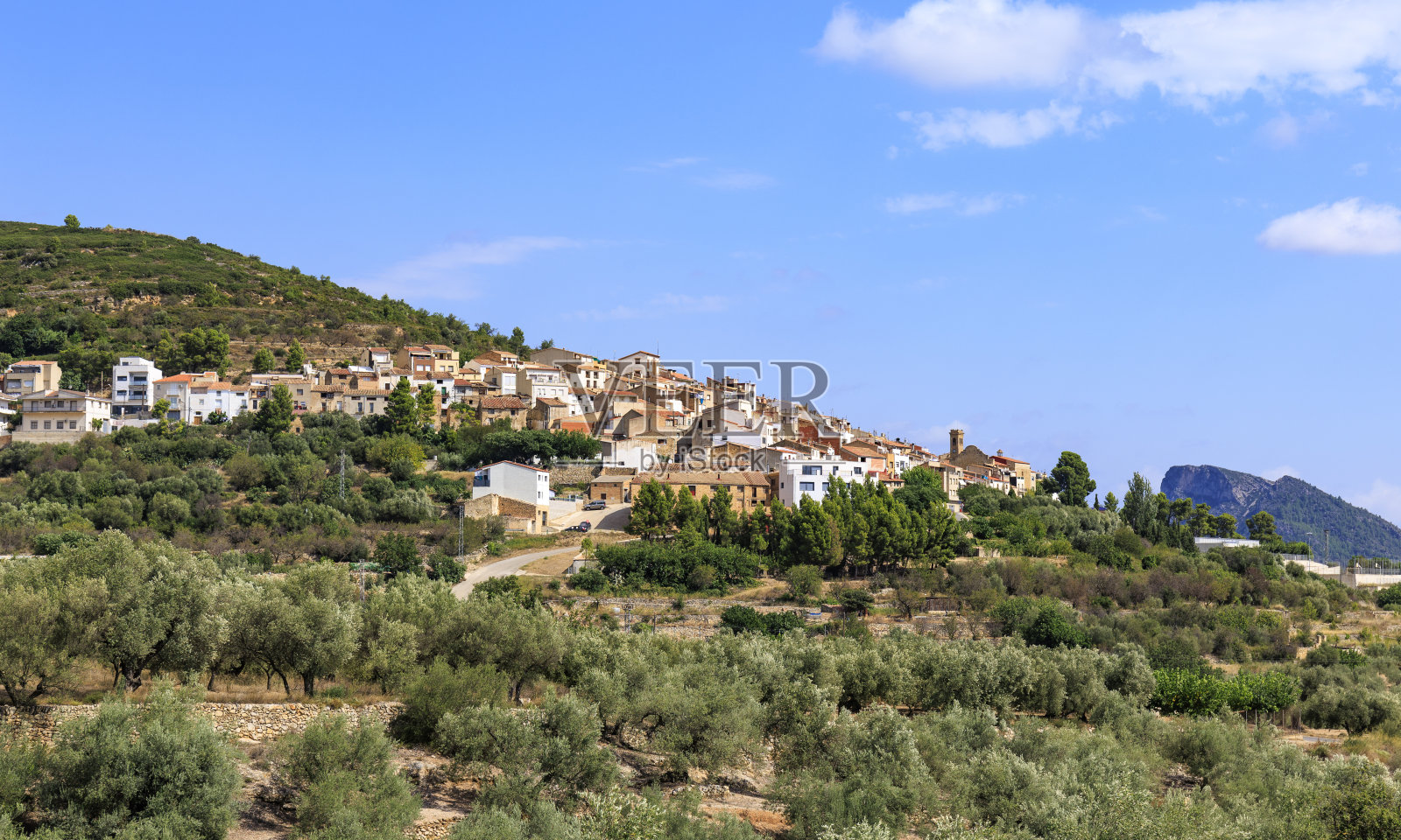橄榄树环绕的村庄照片摄影图片