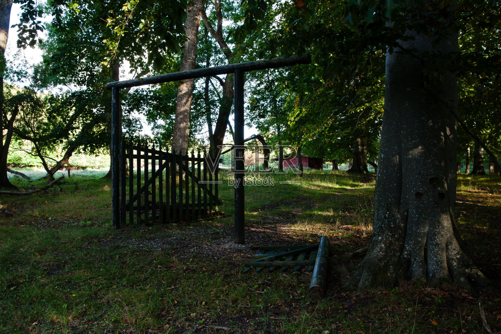森林里一扇废弃的老木门。一个非常大气的镜头照片摄影图片