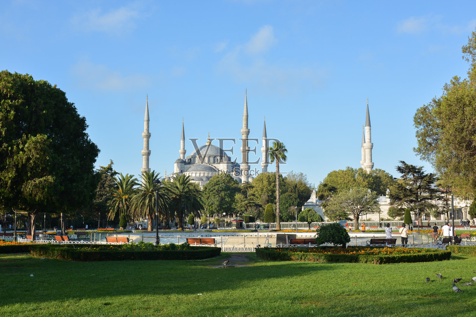 伊斯坦布尔的苏丹艾哈迈德广场，蓝色清真寺。照片摄影图片