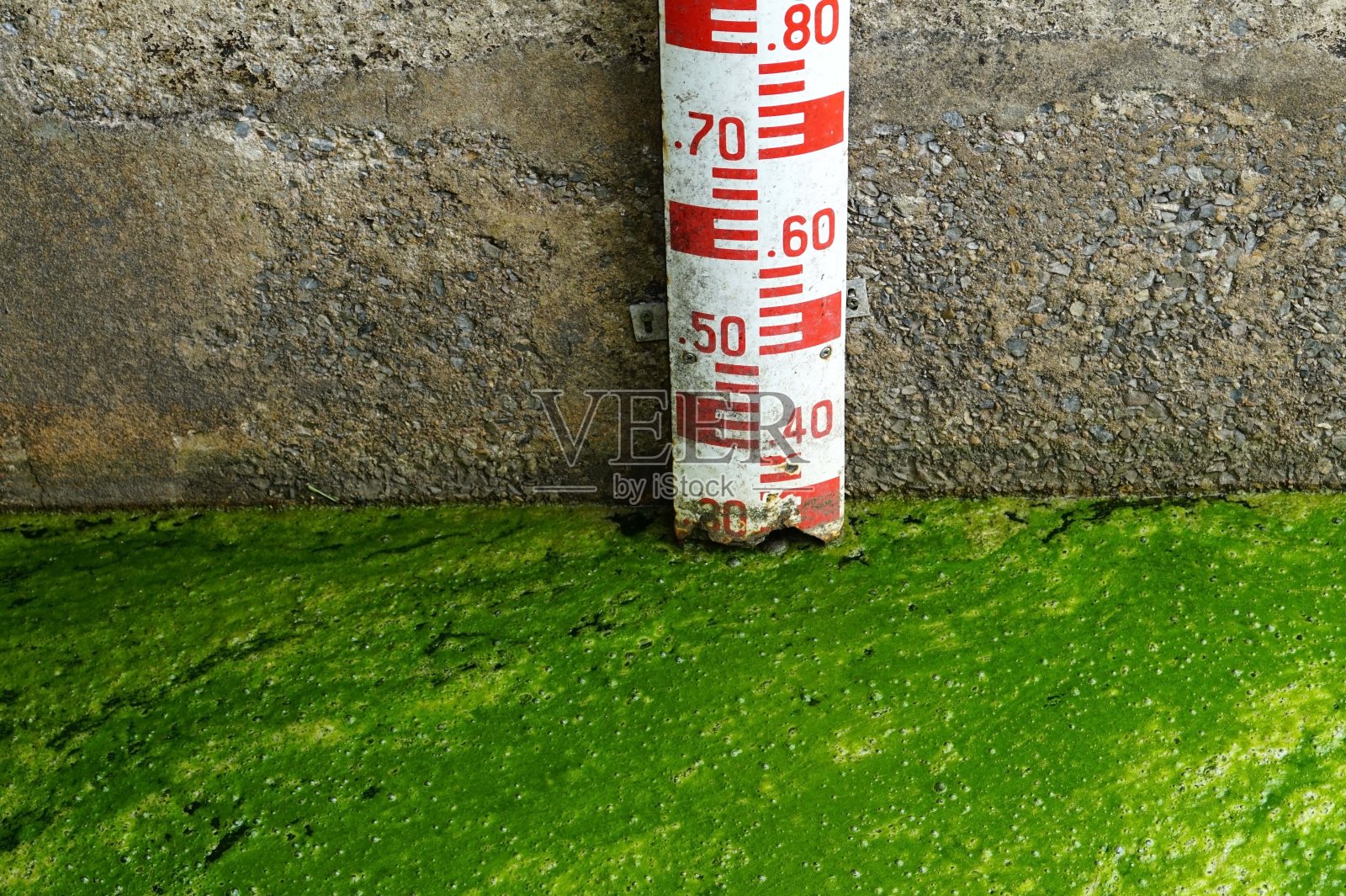 一种红色尺度的水测量具有绿色沼泽水藻、沼泽水的环境概念。照片摄影图片
