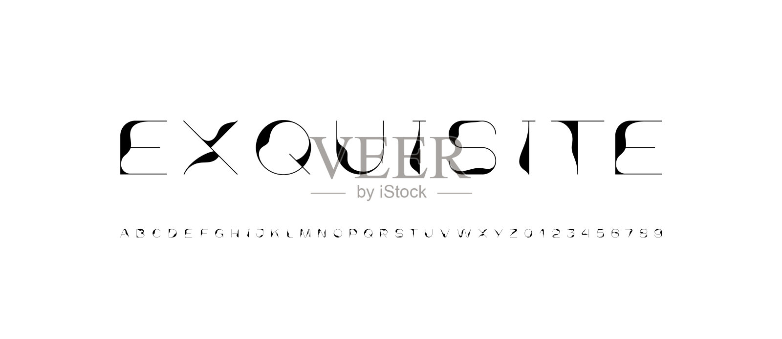 美丽优雅的字母字体，经典的字体完美的标志，婚礼请柬，酒精标签，或时尚设计，字母和数字，矢量插图10EPS插画图片素材