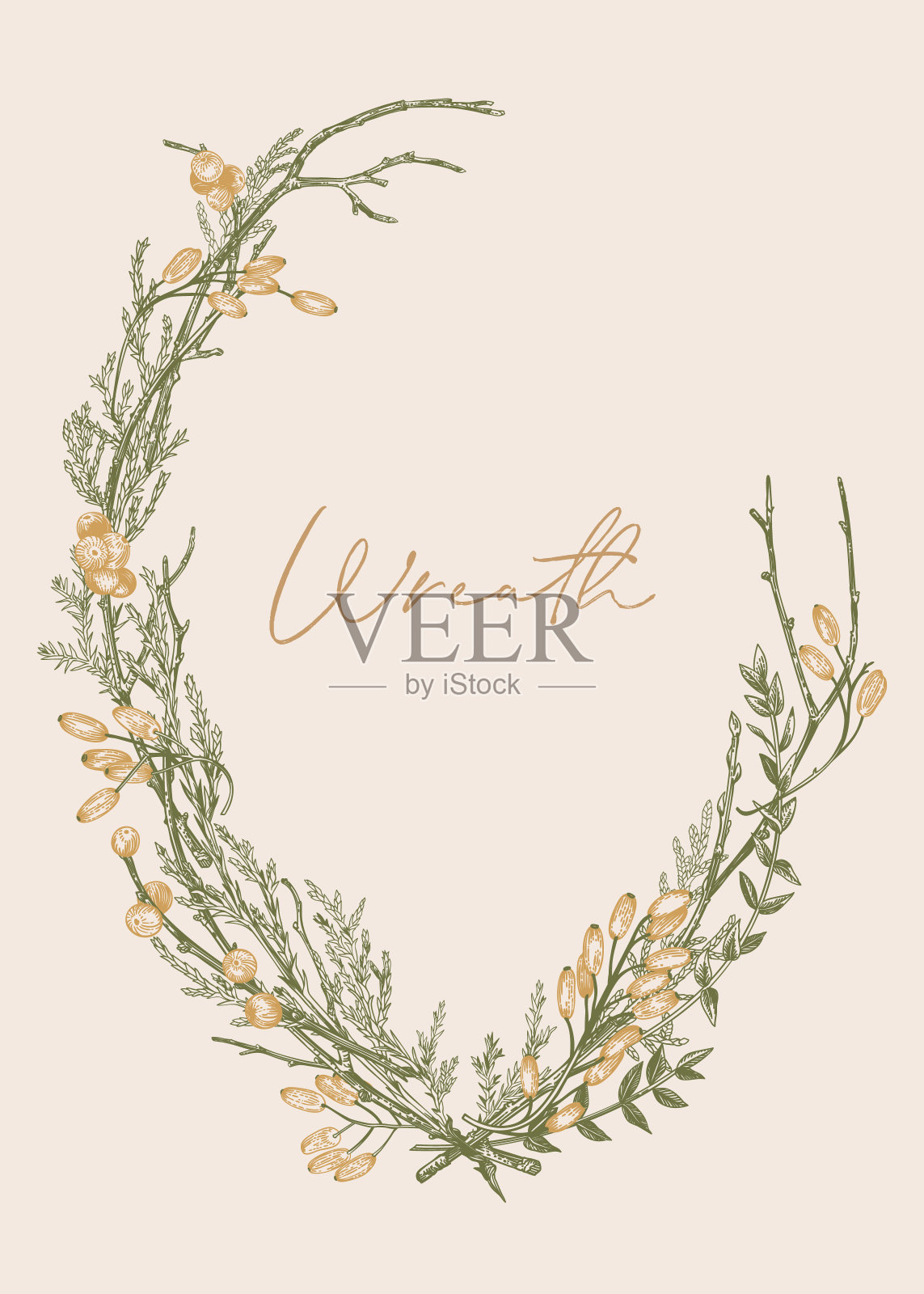 椭圆形的花环和金色的浆果插画图片素材