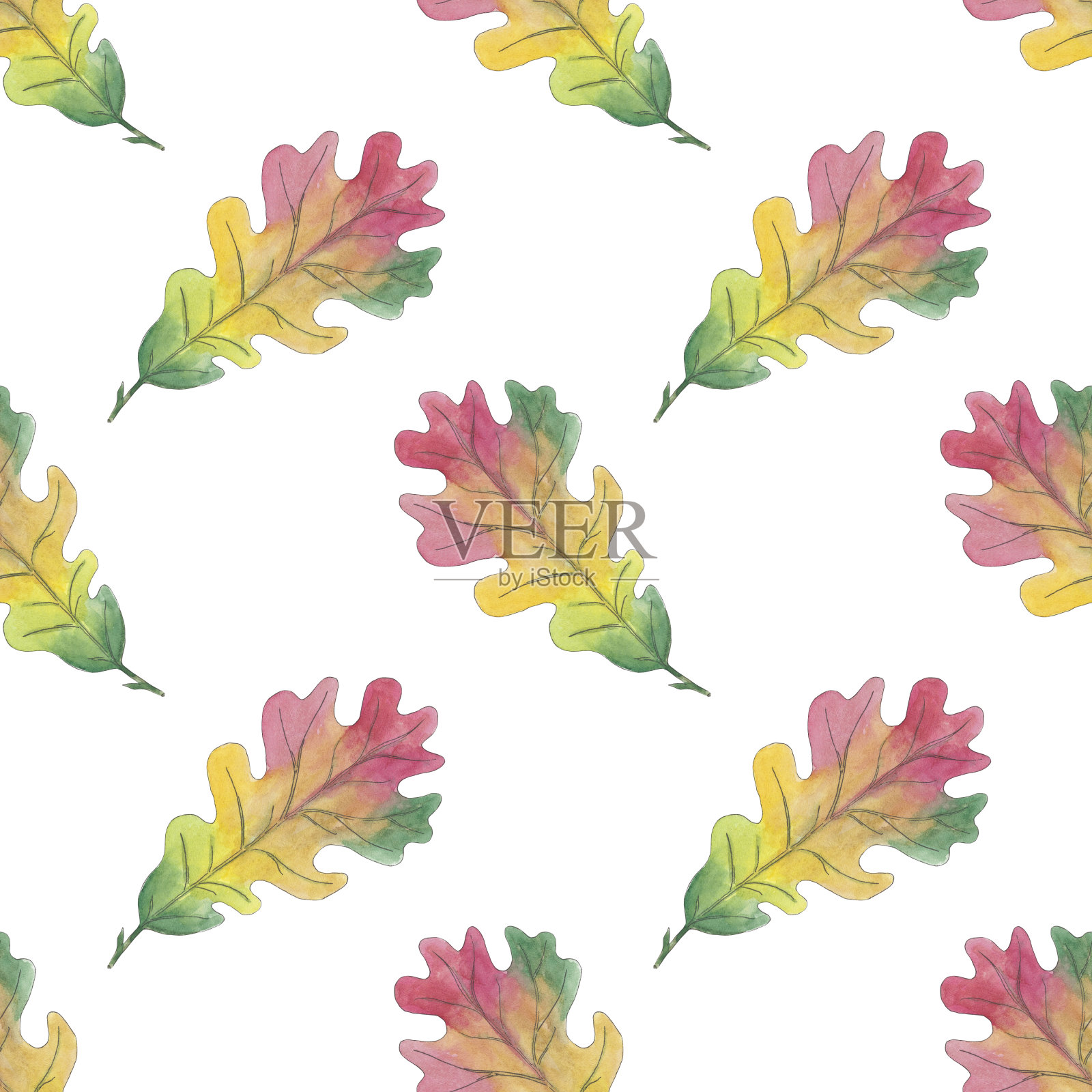 水彩画枫树、白桦树叶的秋日无缝图案与孤立的白色背景。美丽多彩的植物插图。艺术设计卡片，纺织品，婚礼请柬，纸张，壁纸。插画图片素材