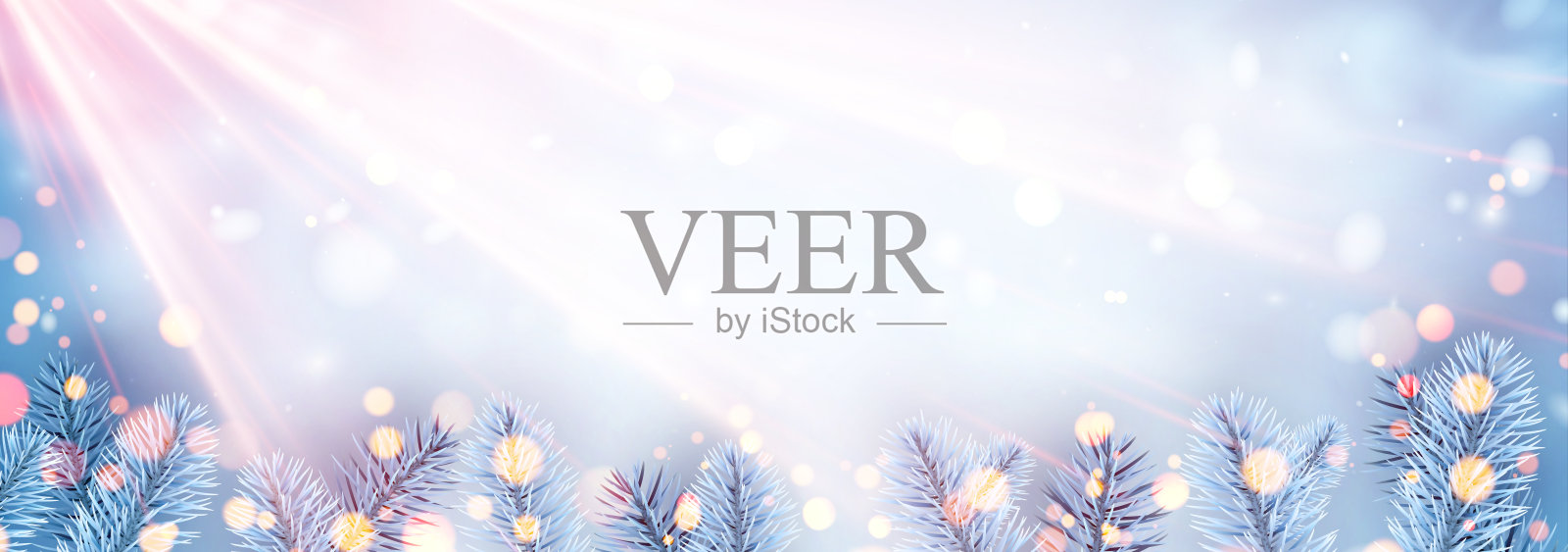 水平早晨旗帜与明亮的蓝色现实冷杉枝。阳光与闪亮的粒子和复制空间。插画图片素材