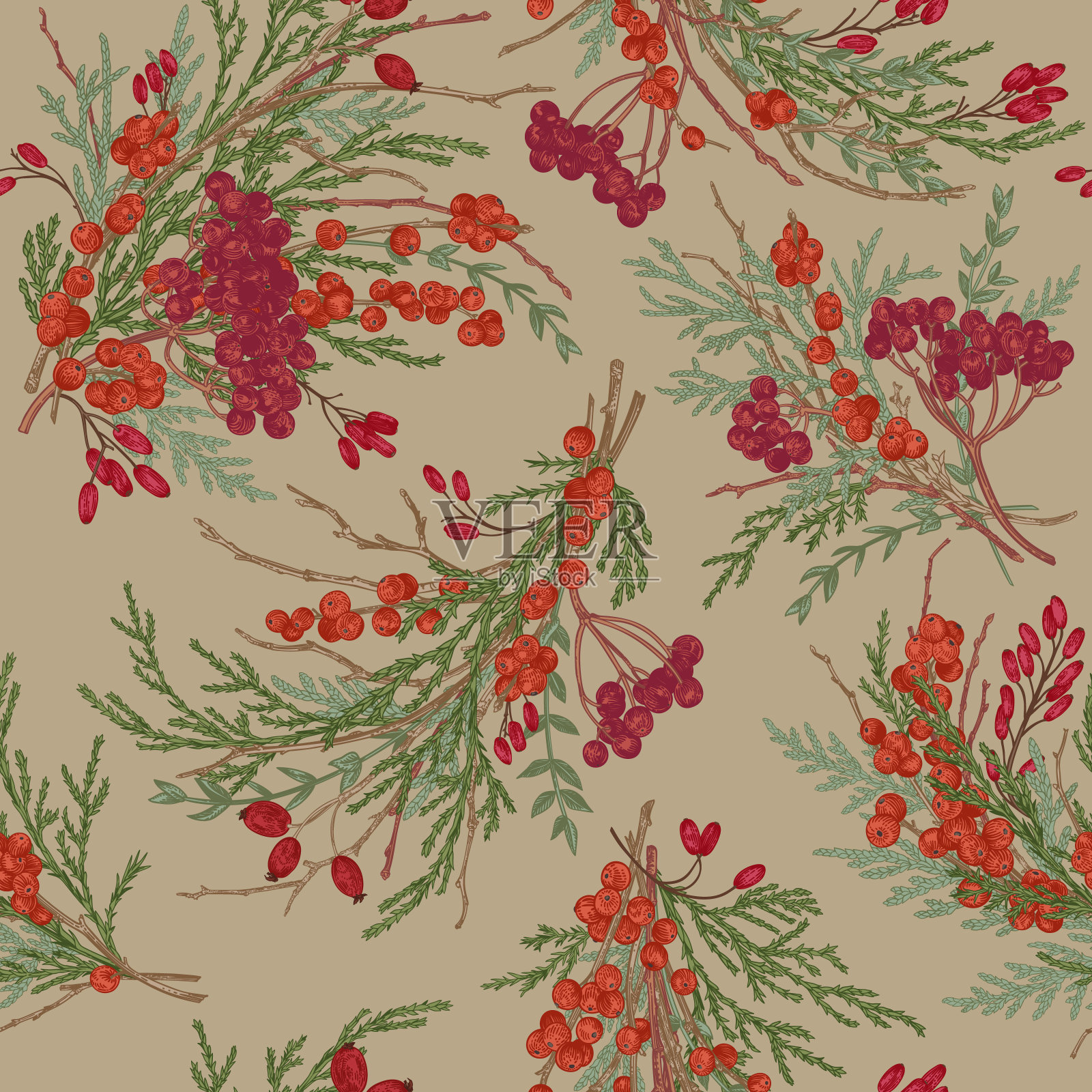 无缝图案与浆果。卡夫。插画图片素材