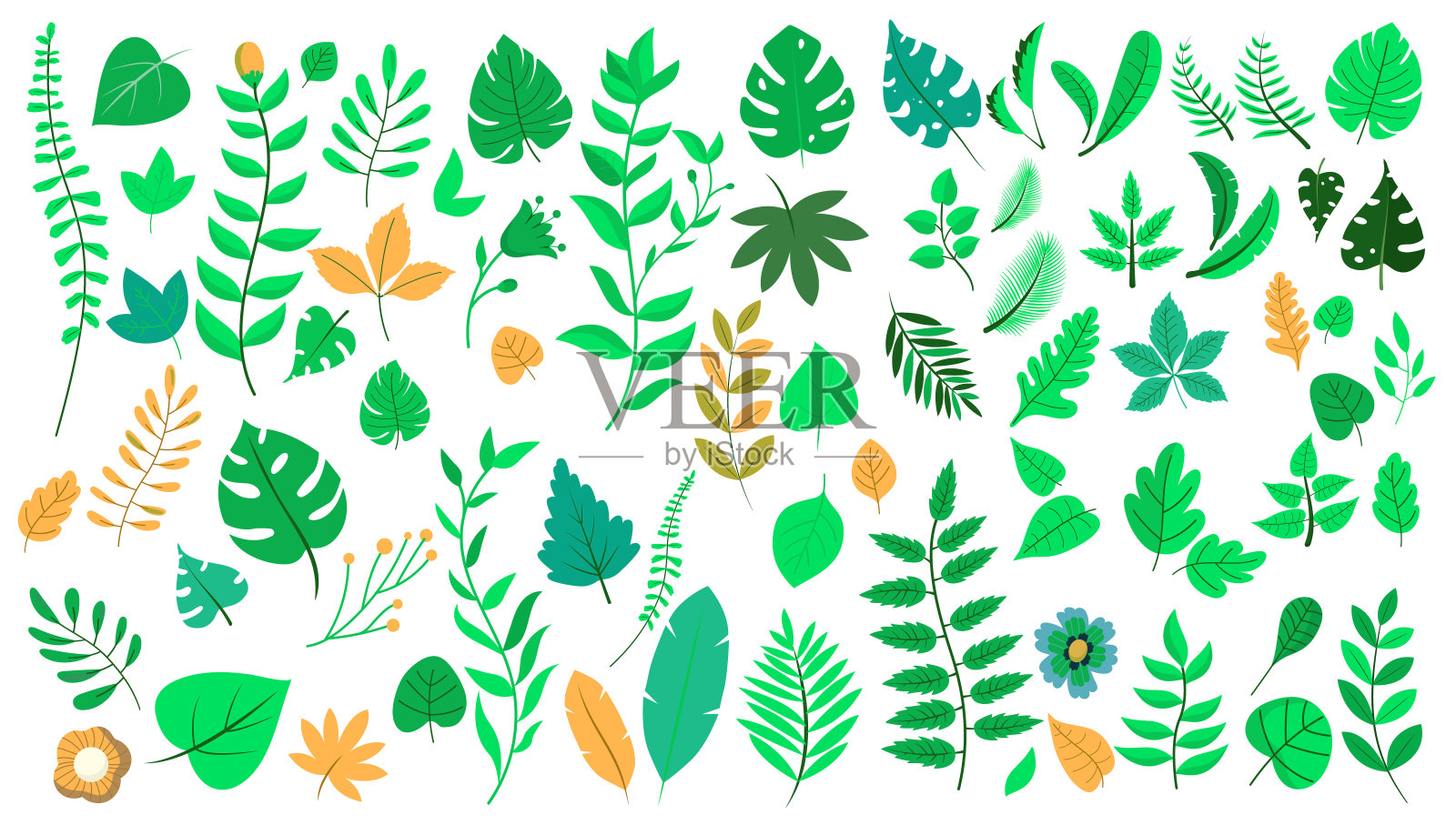 矢量树叶和树叶收集插画图片素材