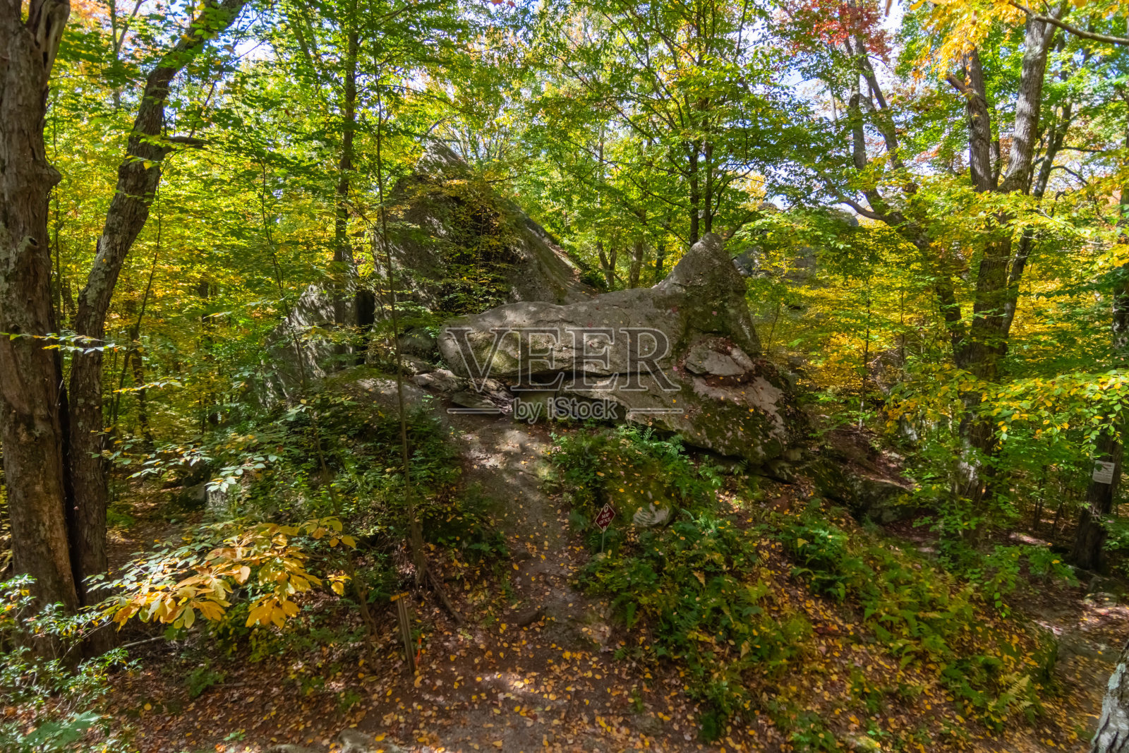 石城公园，纽约州奥林，秋天的森林，巨大的岩层照片摄影图片