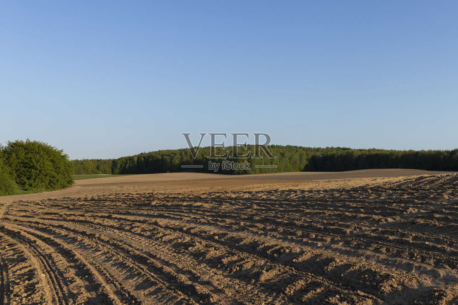 春日日落时犁过并种过玉米的农田照片摄影图片