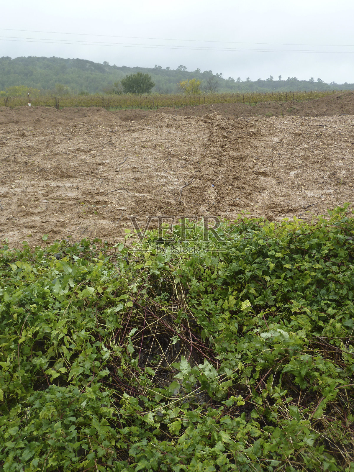 土木工程中的土方工程和挖掘照片摄影图片