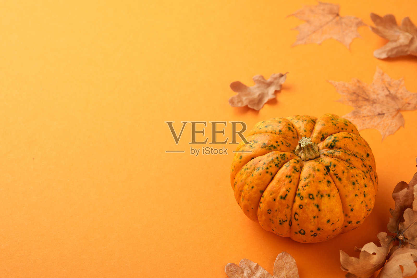 节日的秋天装饰南瓜和干橡树叶在橙色的背景。万圣节或感恩节明信片设计。平铺秋天的构图与临摹空间。横幅。前视图。照片摄影图片