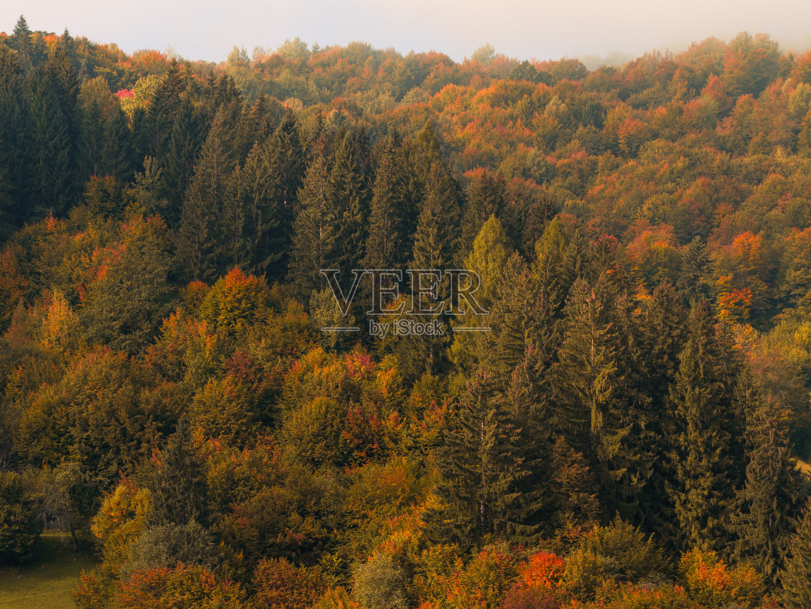 村庄在喀尔巴阡地区风景秀丽的喀尔巴阡山脉观赏乌克兰欧洲秋季乡村景观休闲照片摄影图片