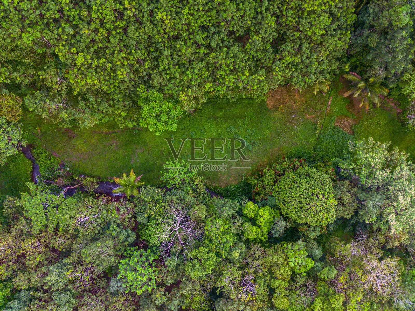 美丽的晨景印度尼西亚全景景观稻田与美丽的色彩和天空自然光照片摄影图片