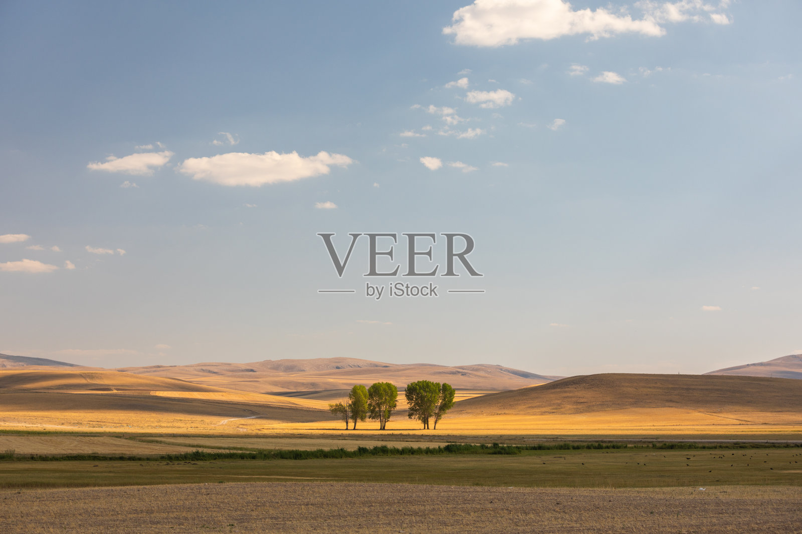 郊野及平原景观照片摄影图片