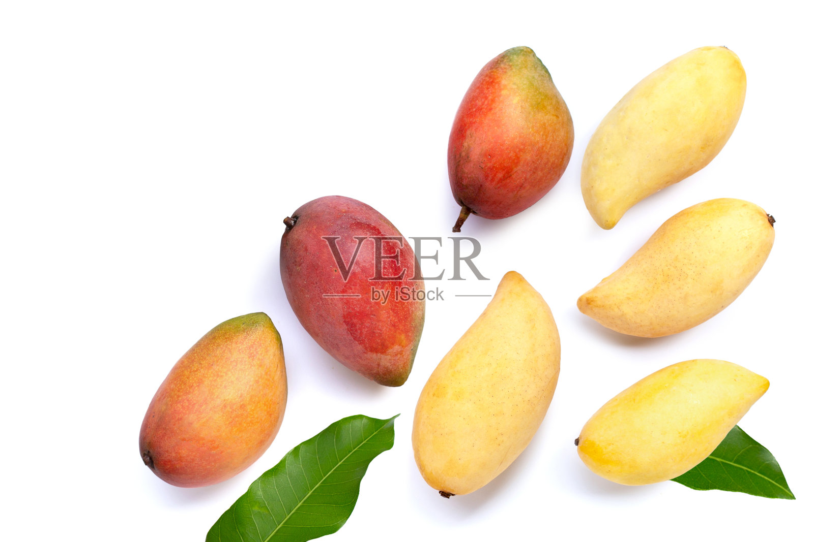 热带水果，白色背景的芒果叶。俯视图照片摄影图片