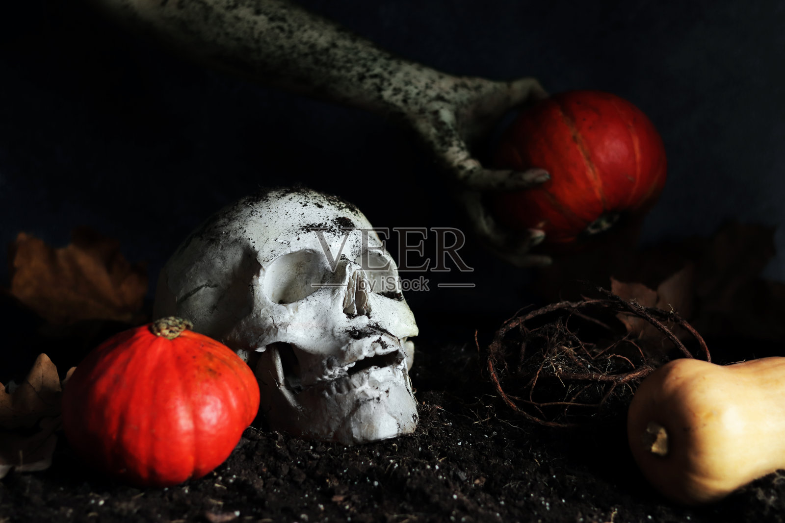 特写头骨和僵尸手握熟南瓜。万圣节的象征照片摄影图片