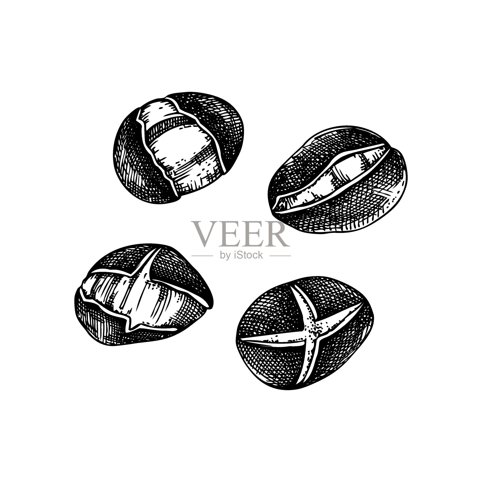 烤栗子速写插画图片素材