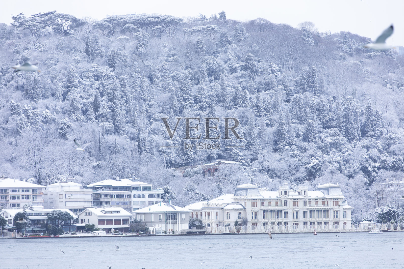 伊斯坦布尔博斯普鲁斯海峡(Çengelköy， Üsküdar, Kandilli, Kucuksu, rumelihisaryi)冬季海岸照片，Üsküdar伊斯坦布尔，土耳其(土耳其语)照片摄影图片