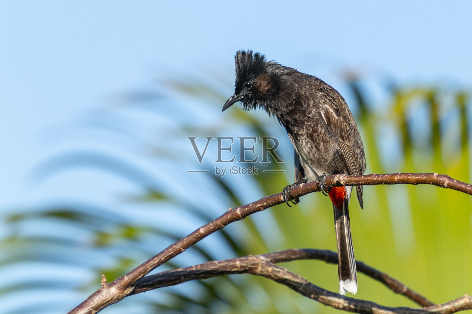 红色通风口照片摄影图片