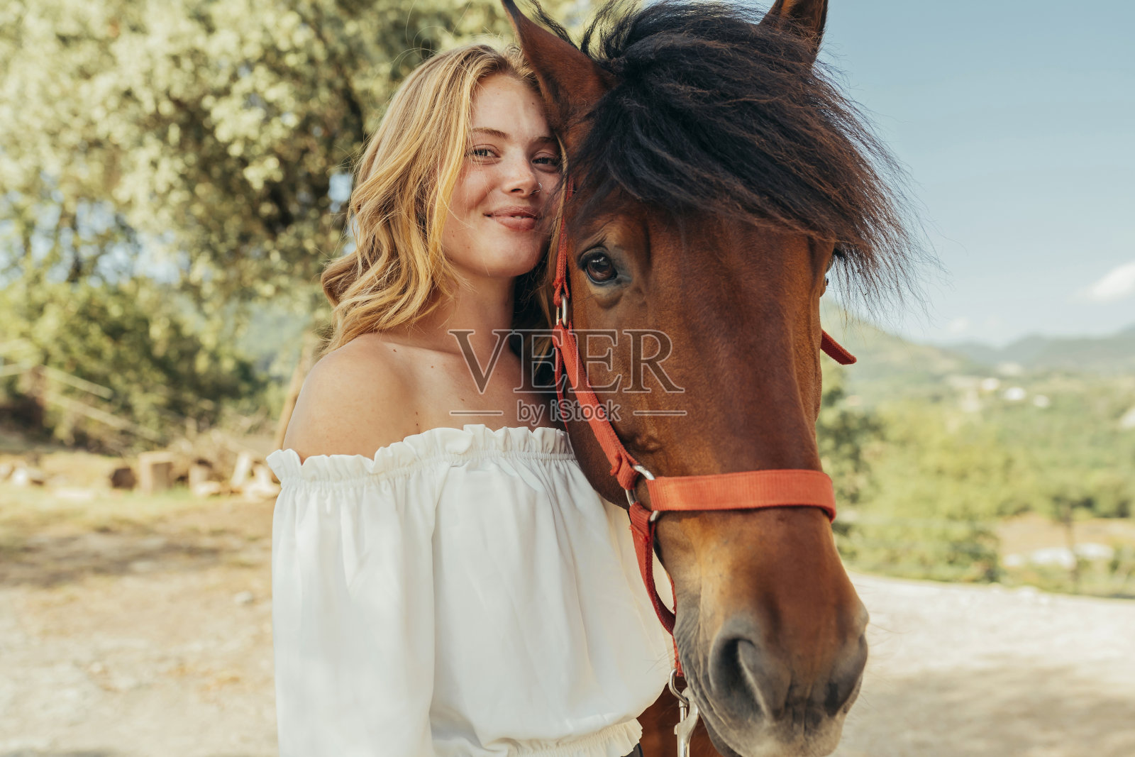 美丽的微笑的女孩和马在农村照片摄影图片