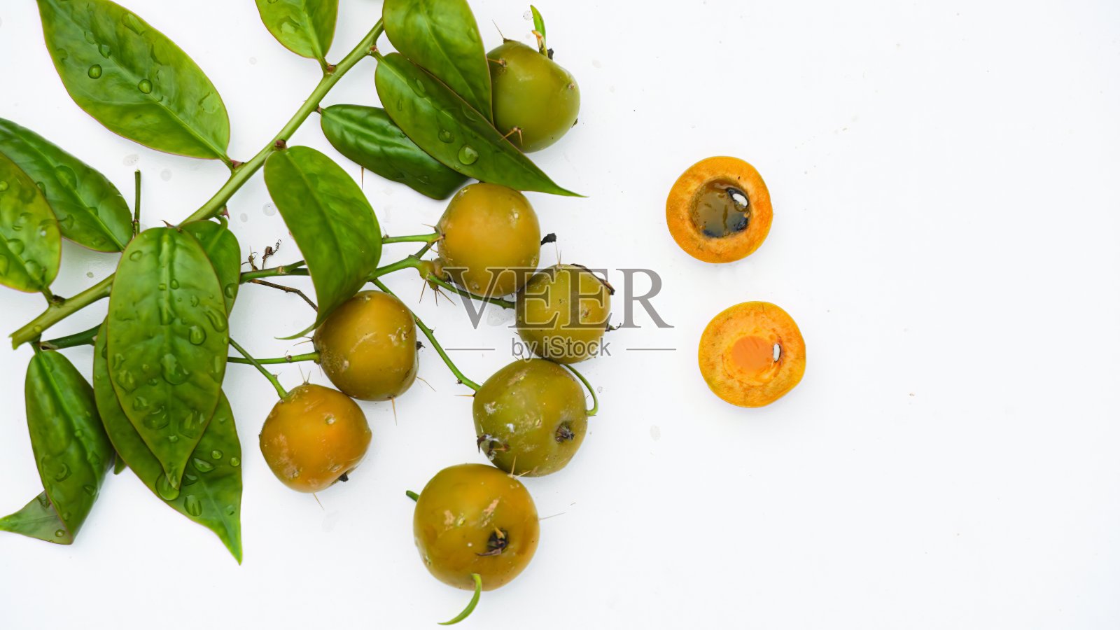 叶子，果实和种子ora-pro-nóbis照片摄影图片