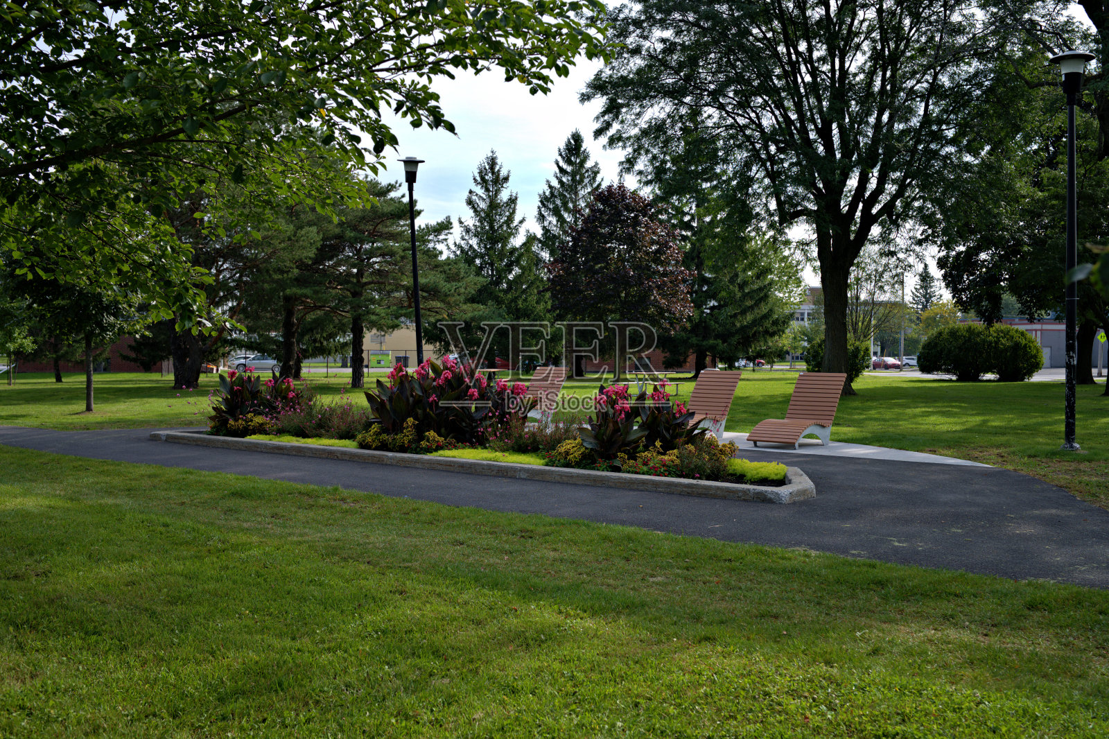 公园的绿洲照片摄影图片