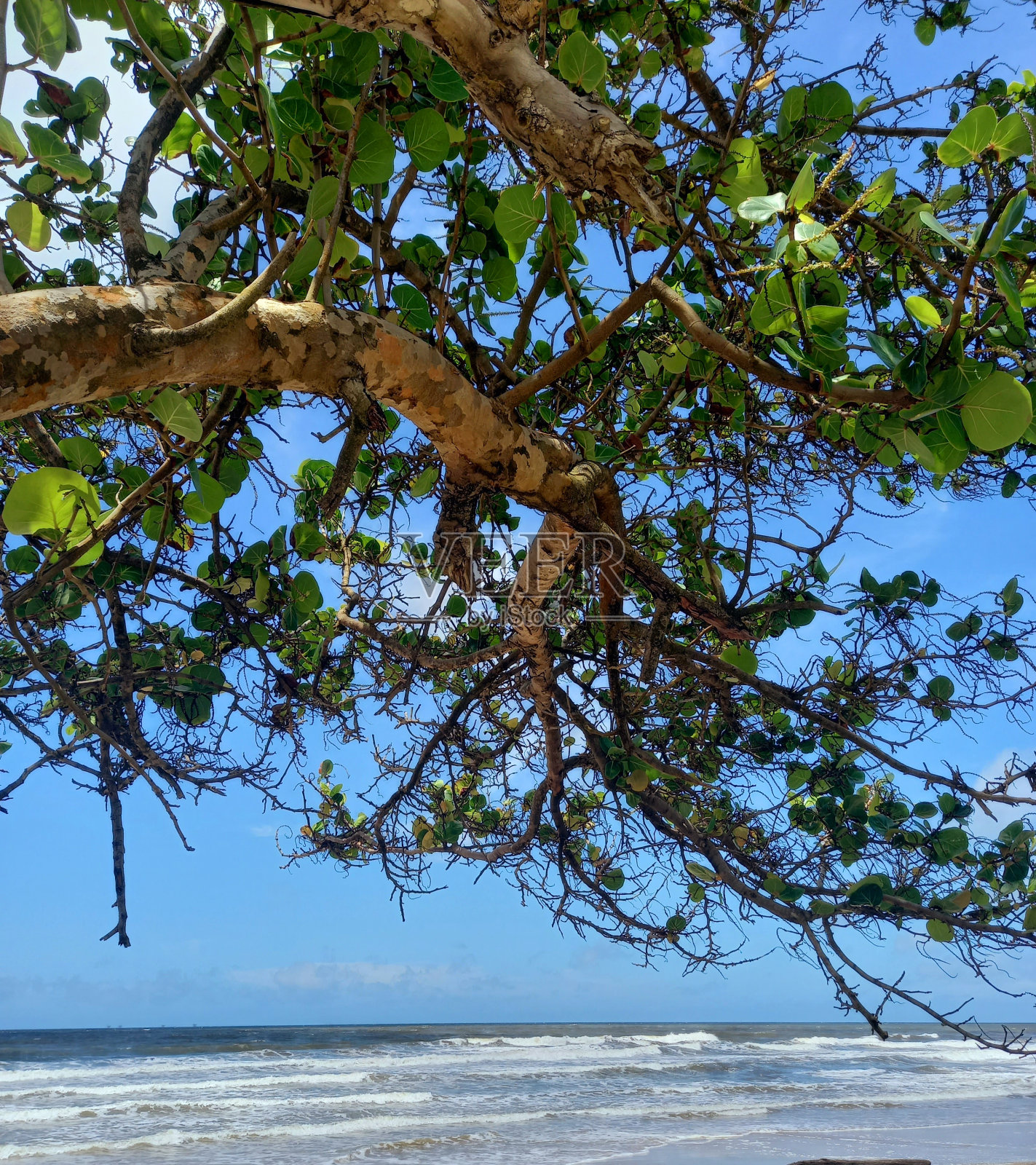 岛上生活照片摄影图片