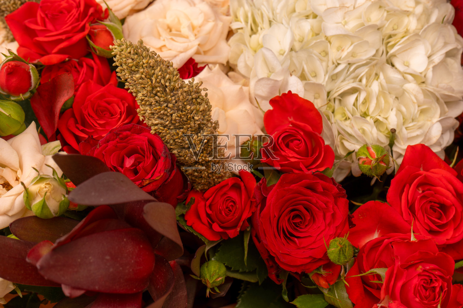 秋天的花束有红白玫瑰、绣球花、菊花作背景。照片摄影图片