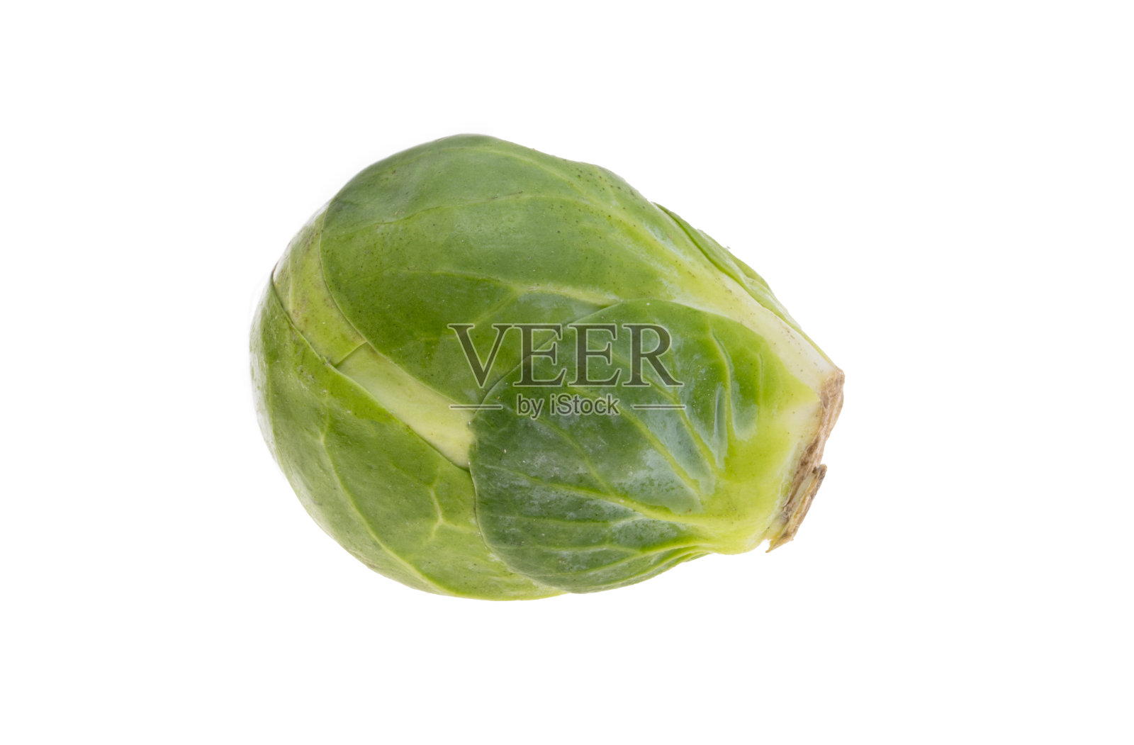 分离球芽甘蓝照片摄影图片