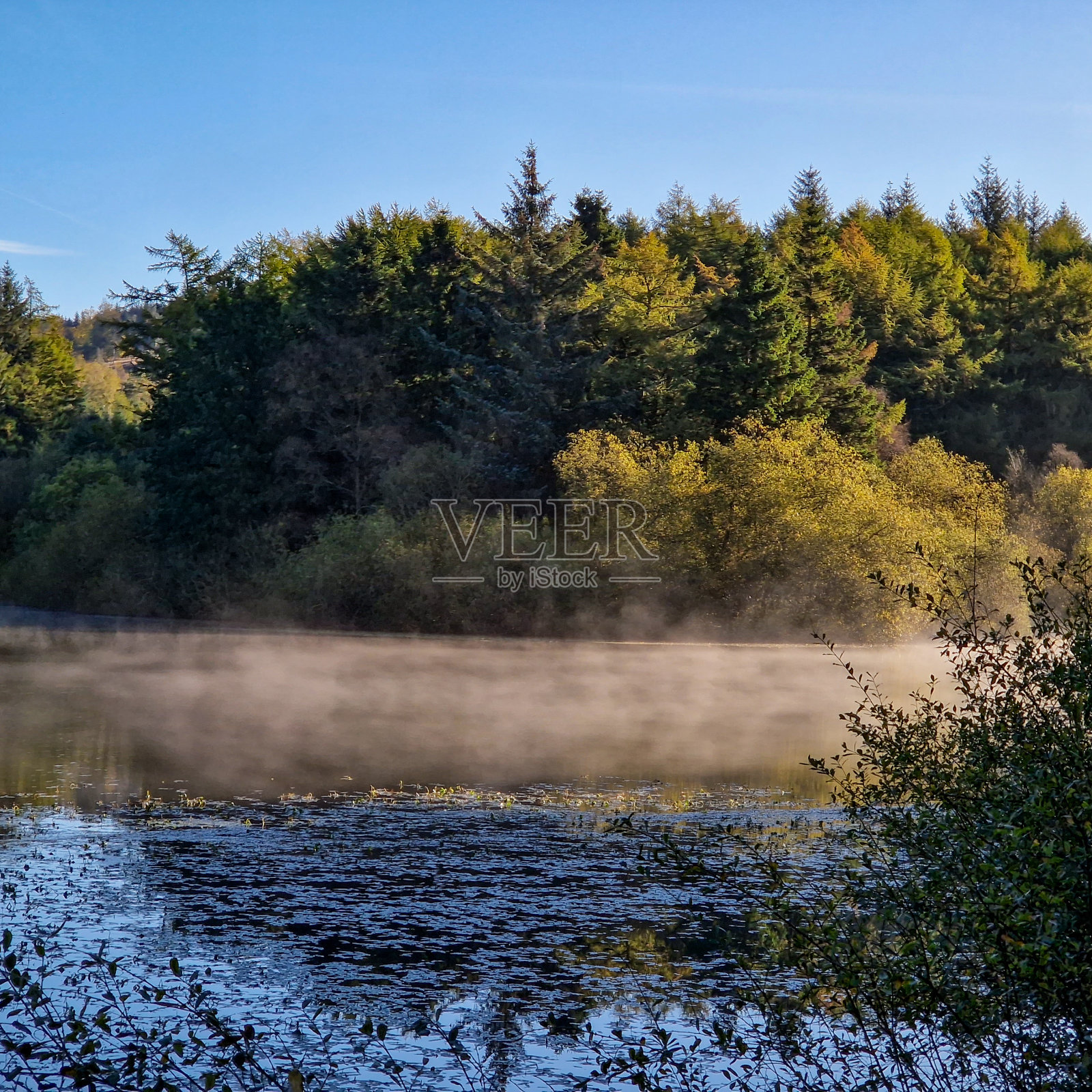 阳光明媚的早晨，英国峰区国家公园的麦克尔斯菲尔德森林。照片摄影图片